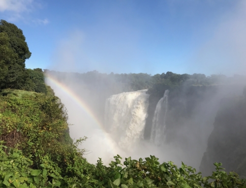 Victoria Falls – a big bucket list TICK!